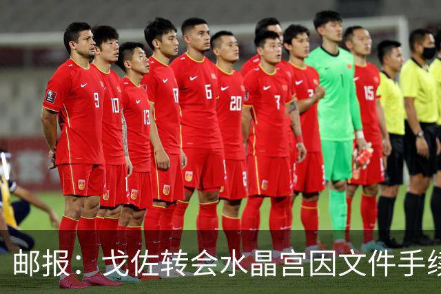 邮报：戈佐转会水晶宫因文件手续受阻，俱乐部仍对交易完成有信心